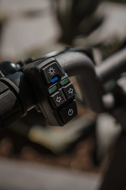 Dualtron Togo 48v 15ah LG